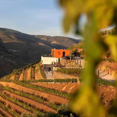 Quinta Vale De Lobos Bed & Breakfast Folgosa  Exterior photo