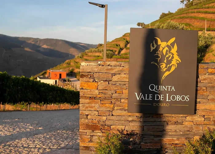 Quinta Vale De Lobos
