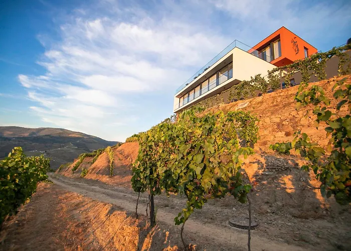 Quinta Vale De Lobos