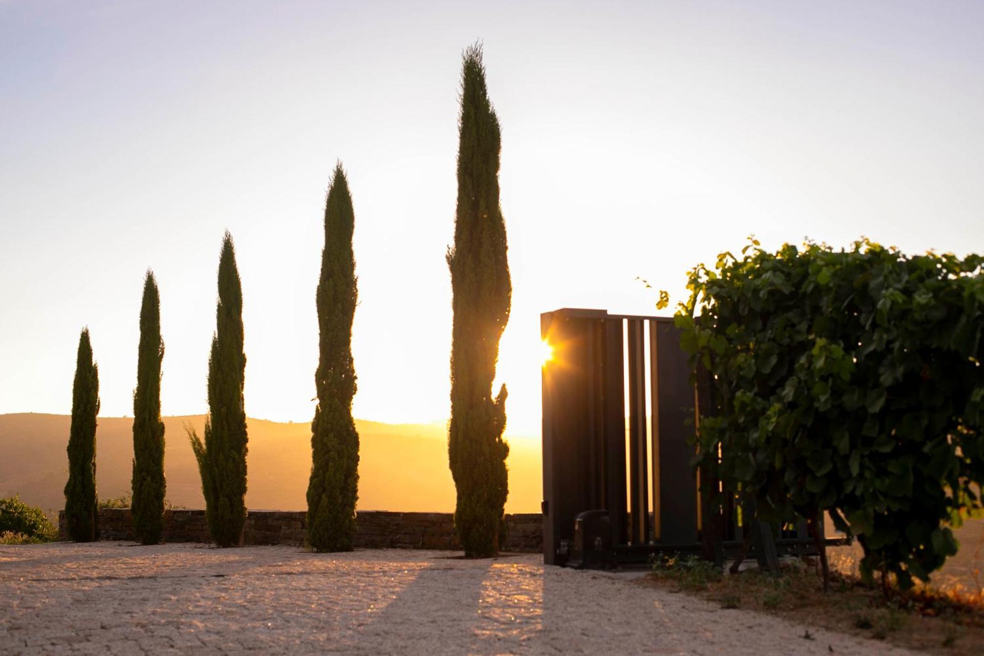Bed & Breakfast Quinta Vale De Lobos Folgosa (Armamar)