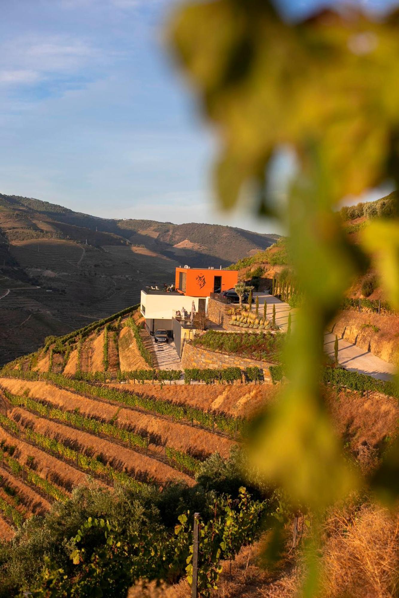 Quinta Vale De Lobos Bed & Breakfast
