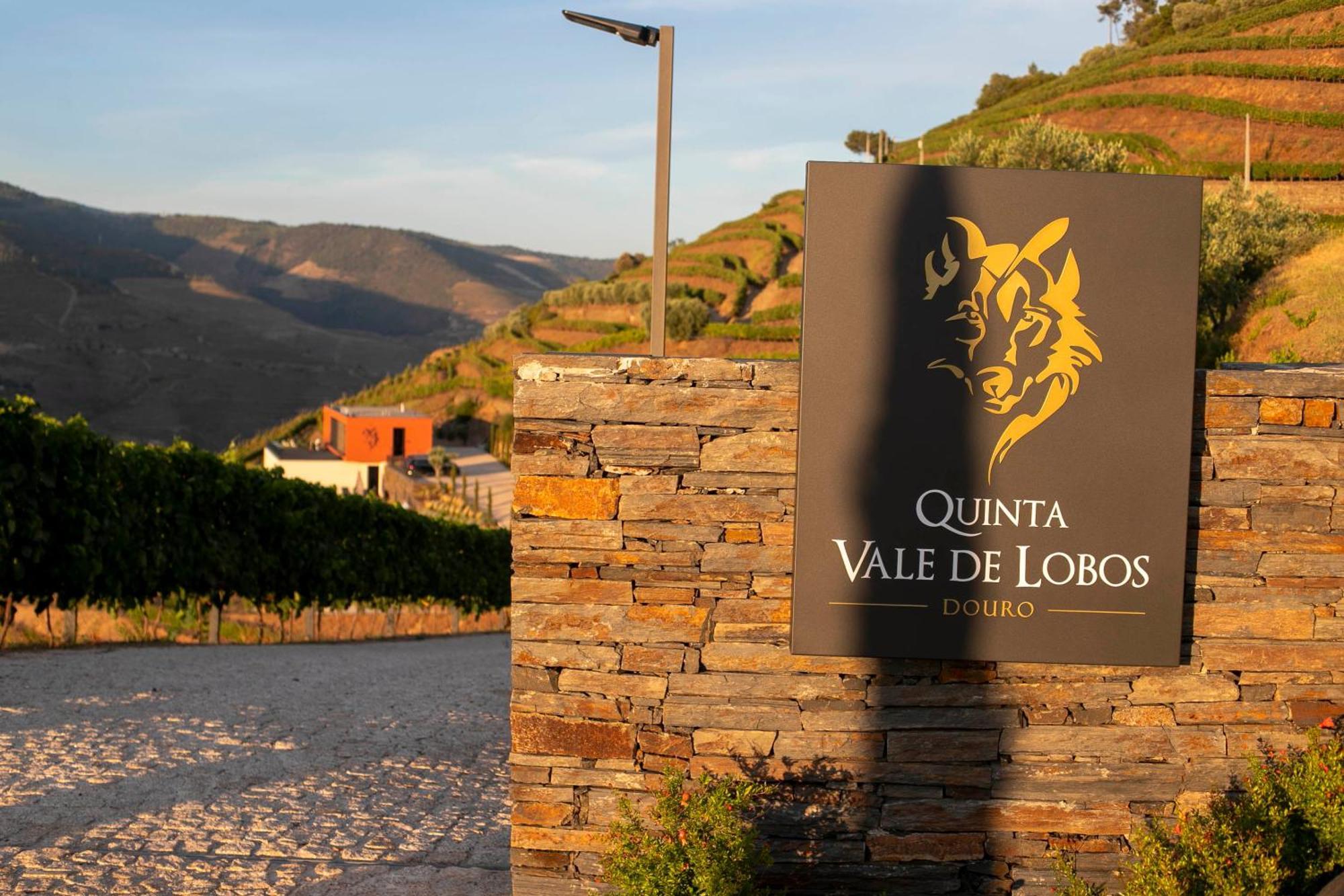 Quinta Vale De Lobos Folgosa (Armamar)