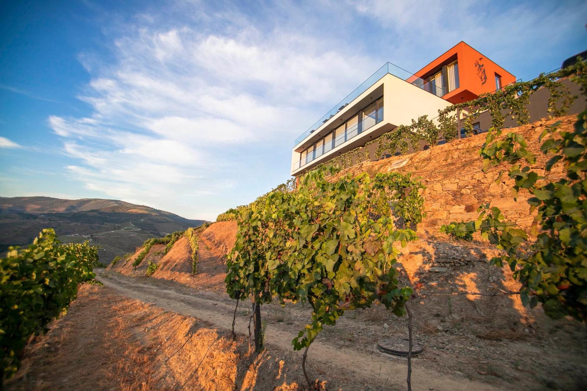 Quinta Vale De Lobos * Folgosa (Armamar)