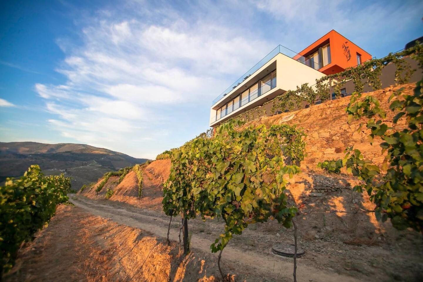 Quinta Vale De Lobos Bed & Breakfast *